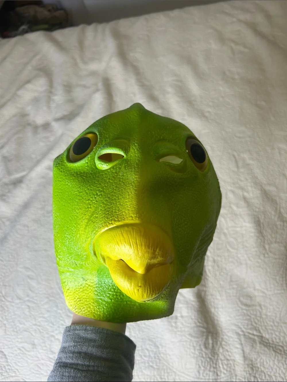 Green & Yellow Fish Face Mask for Men - Lightweight Reusable Mask